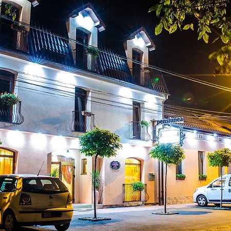 Hotel-Pensiunea Zefir Timisoara Exterior foto